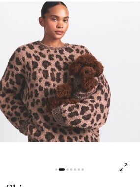 SKIMS Leopard-Print Cozy Crewneck Sweater in Dusty Pink and Brown